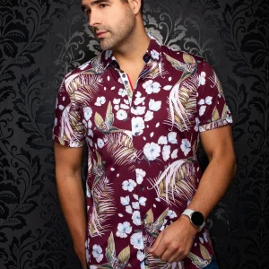 MANCHES COURTES EXTENSIBLE | BRASILIA, Burgundy